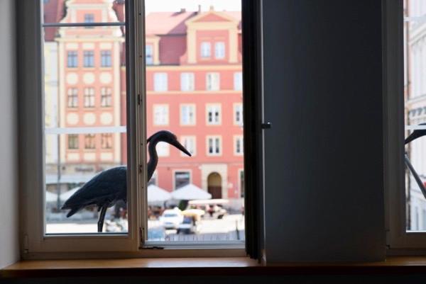 Grande Appartamento 100M2 Rynek 24H Self Check-In Wrocław Eksteriør bilde